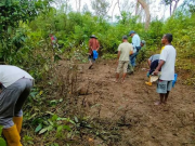 Petani di Pidie Meninggal Dunia Setelah Diamuk Gajah Liar