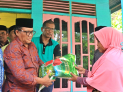 Lindungi Warga dan Satwa, Pemkab Pidie Akan Buat Sanctuary Untuk Gajah Liar