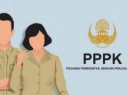 Pemkab Pidie Buka PPPK, Ini Link Pendaftarannya