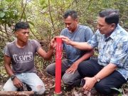 Klarifikasi! Tidak Ada Perampasan Lahan, PT Mas Putih Indonesia Mengaku Sudah Bayar Lunas Tanah di Pidie Sejak Lama Lewat Geuchik Setempat