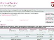 Sekarang BI Checking Sudah Bisa Dicek Sendiri Lewat Internet