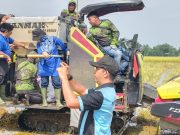 Gerakan Nasional, Pemkab Pidie Lakukan Panen Perdana Padi Nusantara 1 Juta Hektar