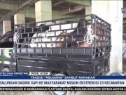 Pj. Bupati Pidie Siapkan 34 Ekor Sapi Meugang Untuk Masyarakat Miskin