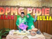 Pemkab Pidie Raih Penghargaan Dari Kementerian PPPA