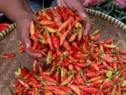 Harga Beras Hingga Cabai Meroket di Awal Ramadhan