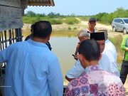 Korea Selatan Siap Berkolaborasi Dengan Aceh Tamiang Dalam Perawatan Mangrove