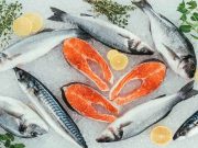 Manfaat Makan Ikan: Sehat dan Tinggi Gizi aneka jenis ikan