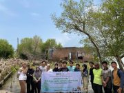 HMI Cabang Semarang Tanam 1500 Pohon Mangrove Guna Mitigasi Abrasi Pantai Utara Semarang