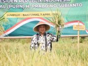 Pilih Tak Ganti Mobil Dinas, Bupati Banyumas Utamakan Kendaraan Operasional Dukung Kinerja Pemdes Bupati Banyumas