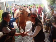 Lestarikan Nilai Adat, Laskar Sasak Dapat Dukungan dari Eks Pejabat Tinggi BIN Laskar Sasak