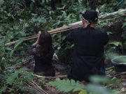 Komunitas Dharma Bhakti Patanjala Perkenalkan Konservasi Mata Air Berbasis Budaya Pagelaran Tari